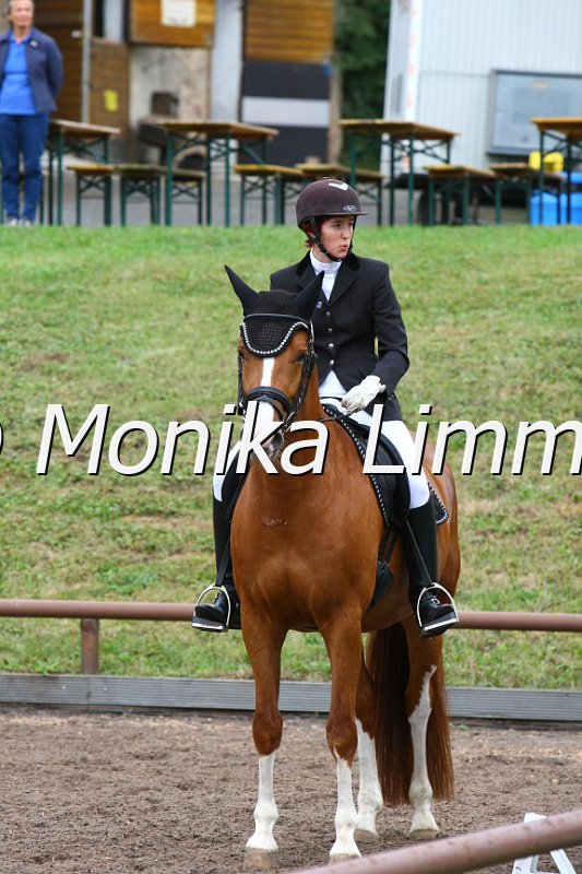 109M1812_Royal Red Angel_Dresspferde_A.JPG